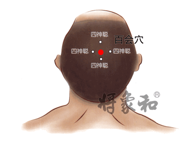 百会是人体当中位置最高的穴位,人头上顶天,所以根据中医的阴阳理论