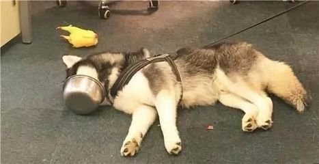 640