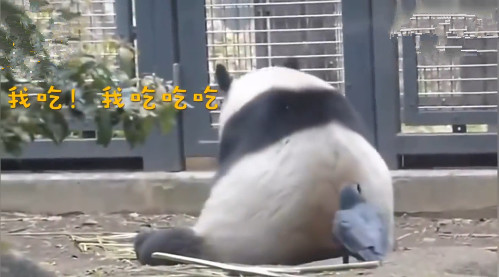 640