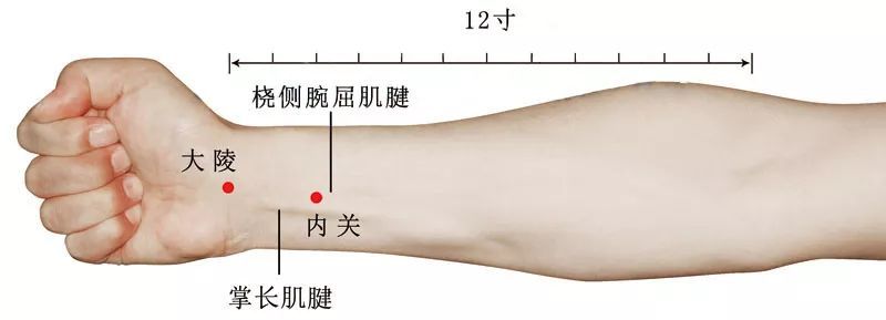 肋间丘墟膝曲池