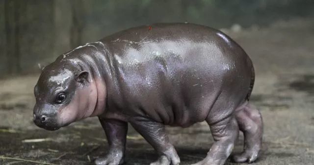 640