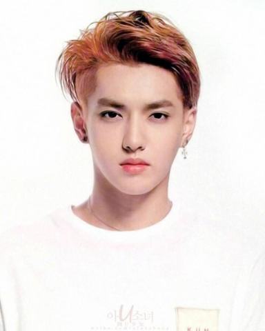 2018年新晋霸屏小鲜肉蔡徐坤,鹿晗 吴亦凡 张艺