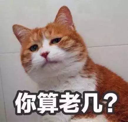 喵咪舔人真的疼哭,但没被猫舔过的人,算什么铲