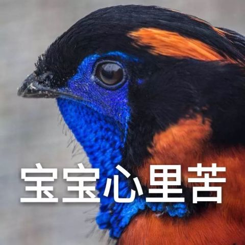 640