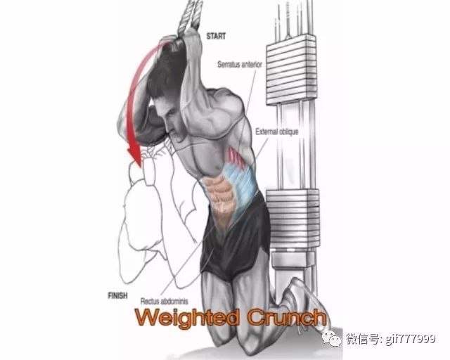20种健身房常用腹部训练图谱,覆盖腹肌各个部位
