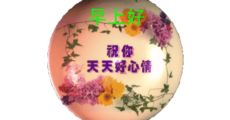 微信鲜花早上好图片大全 朋友圈早安图片表情大全