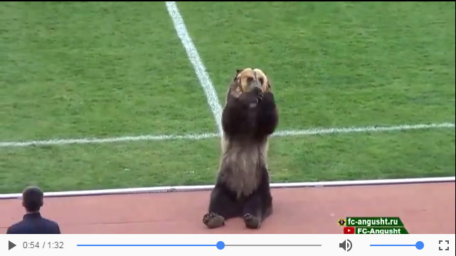 这一幕吓跪了!俄罗斯人牵着一只活熊开球 曝这