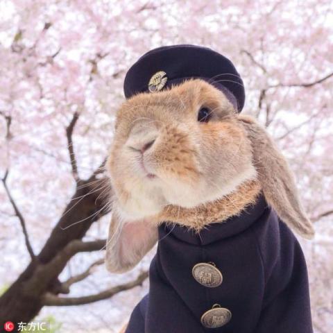 640