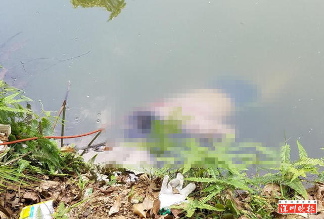 深圳老人晨练失联 今天发现在水库溺亡