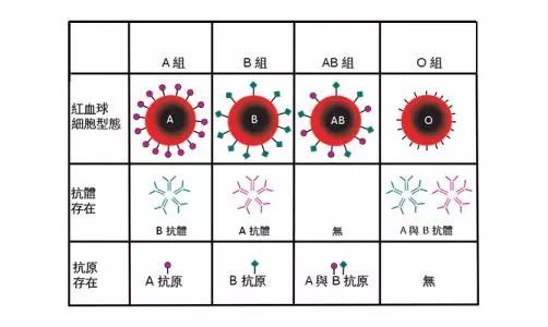什么血型决定什么命运吗？——科学与迷信的较量
