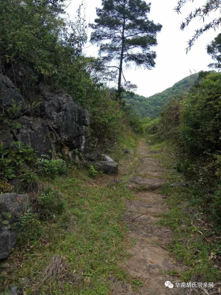 湖南省宁远县冷水镇上胡家村旅游景区简介