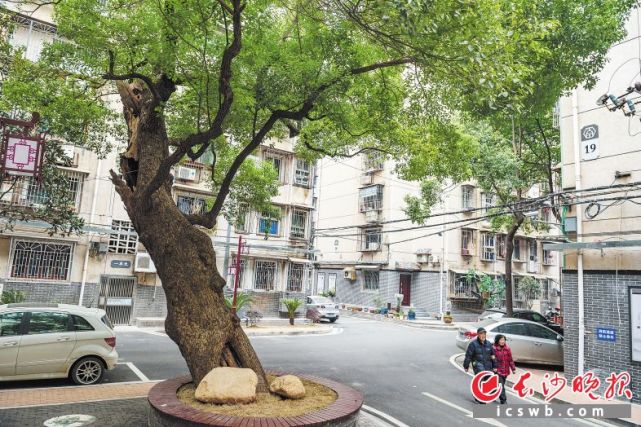 长沙2018新增这7个城中村改造 计划完成棚改