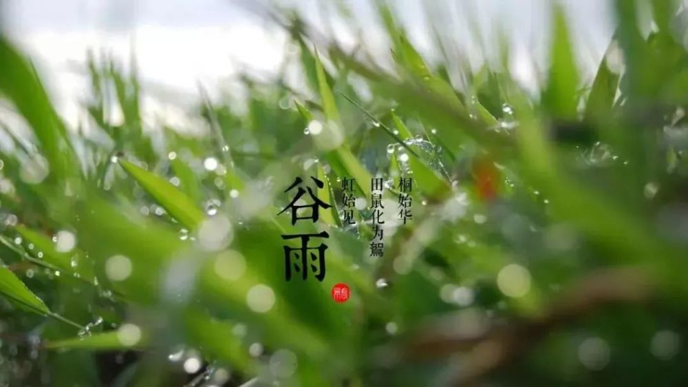 谷雨诗词80首,献给最后的春天:农事蛙声里,归程草色中