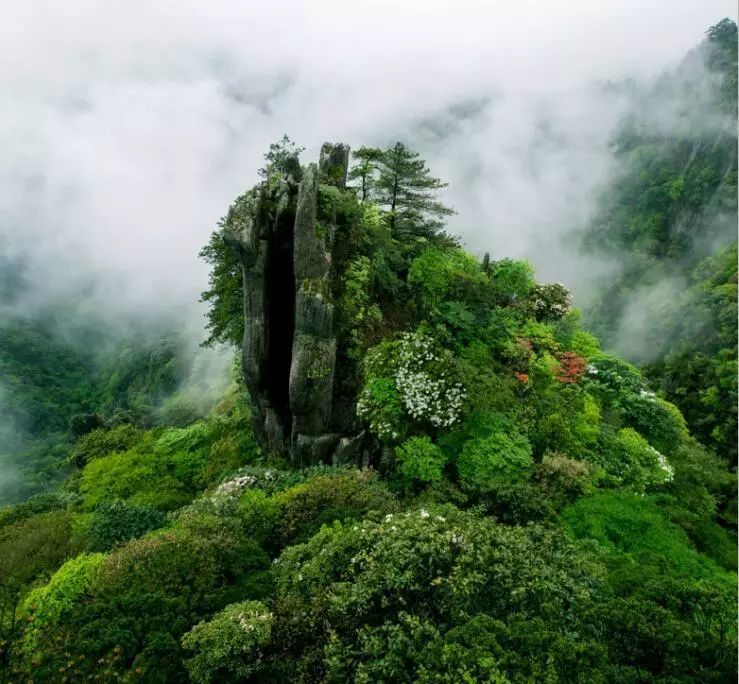 连google都不知道的安福武功山,羊狮慕景区五一新玩法!