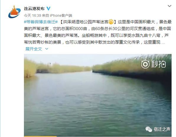 洪泽湖曲谱_洪泽湖大闸蟹图片