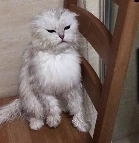 640