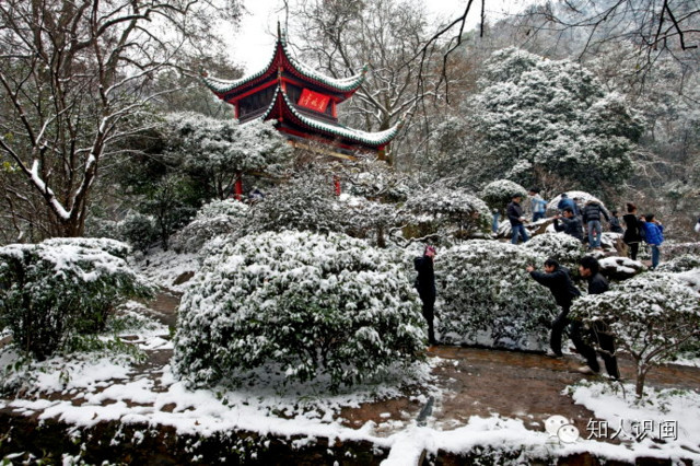 东北人在榕 冬天冷的不如狗