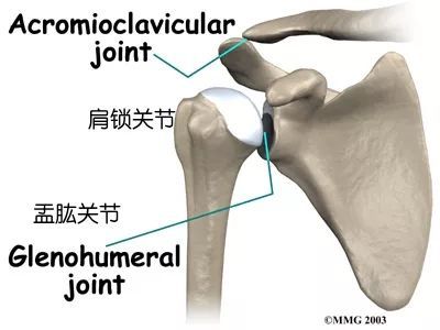 练了那么多开肩的体式肩部还打不开？！试试这个方法……