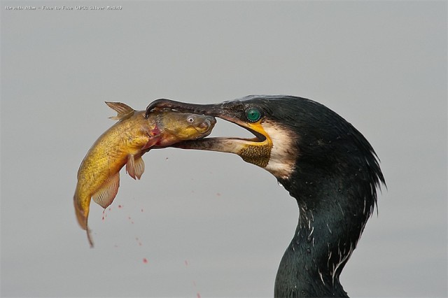 2014ϣصĵѲعӰչƷ