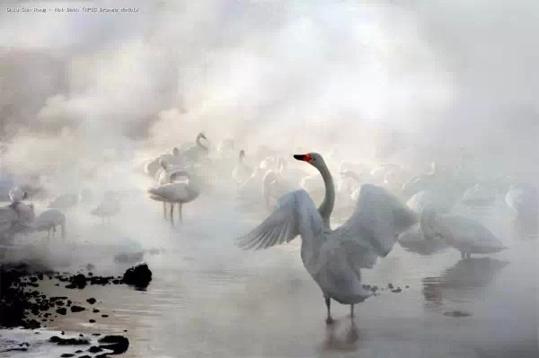 2014ϣصĵѲعӰչƷ