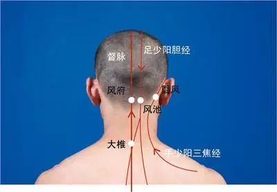 视力不好,按后脑勺,当天即可见效