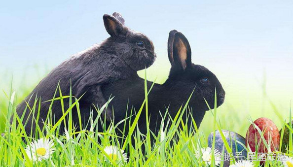 十二星座中,最疼女朋友的星座是哪个,他排第一