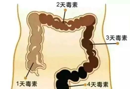 晓梅瑜伽公益课程:商卡排毒零基础教程