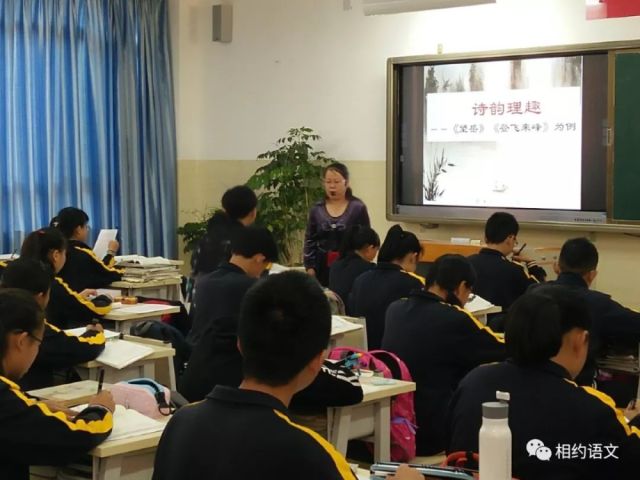 理趣教案-《望岳》《登飞来峰》群诗教学案例优秀美术蒲公英诗韵图片