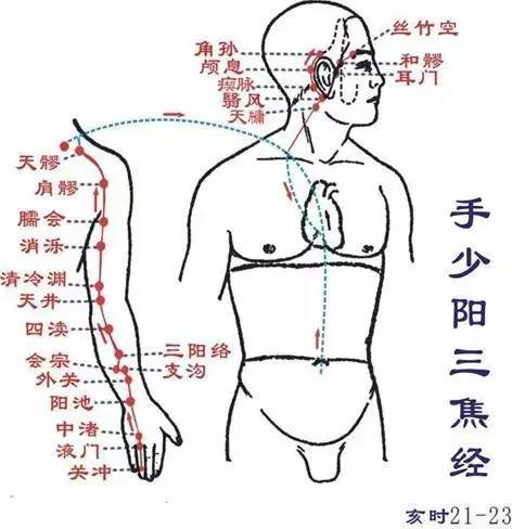 拍打一条经络全解决!