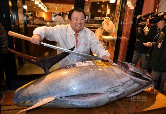 日本巨型金枪鱼新年拍出23万