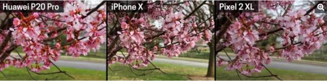 手机相机比拼：华为P20 Pro和iPhone X 谁能赢？