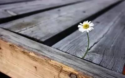 你的勤奋,才是你失败的真正原因