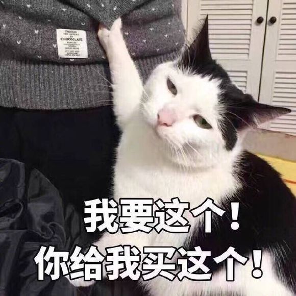 女神节超现实的表情包,女生已就位,男生该如何?