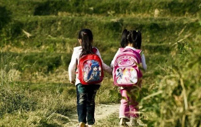 一箱油、半箱税?7元\/升的92号除了汽油还有啥