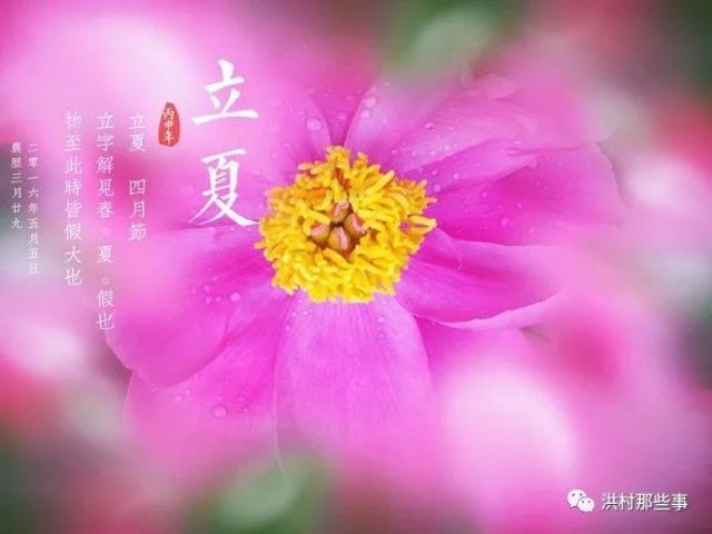 立夏时节   祝福送上   愿你   笑容灿烂快乐开怀   立夏来了