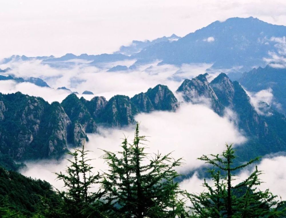 中华龙脉秦岭太白山雪后雾凇美景,附太白山四季美景欣赏