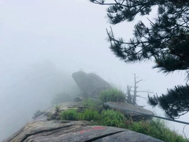 蕲春狮子镇人口_湖北蕲春横车镇(3)