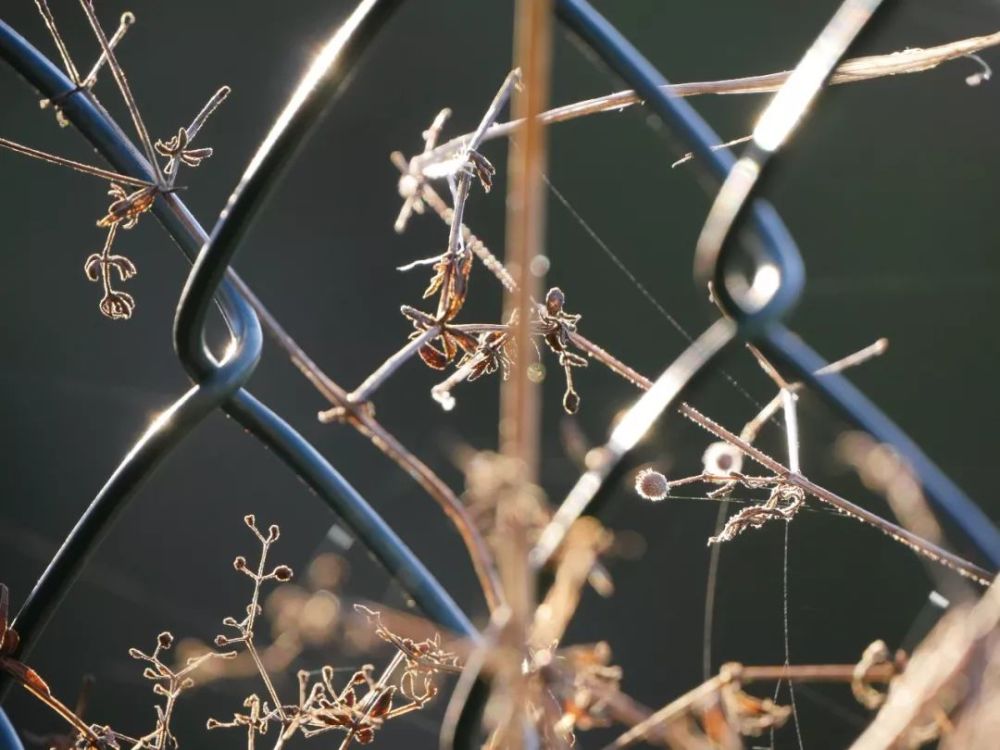 这些成语意思已更新,别再出错了