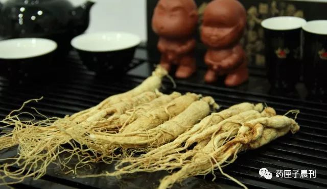 人参药用竟不如小小萝卜籽,好药也不能乱吃!