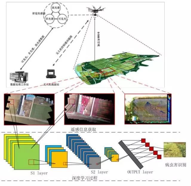基于机器学习的无人机遥感技术还在作物株高,叶绿素含量,叶面积指数