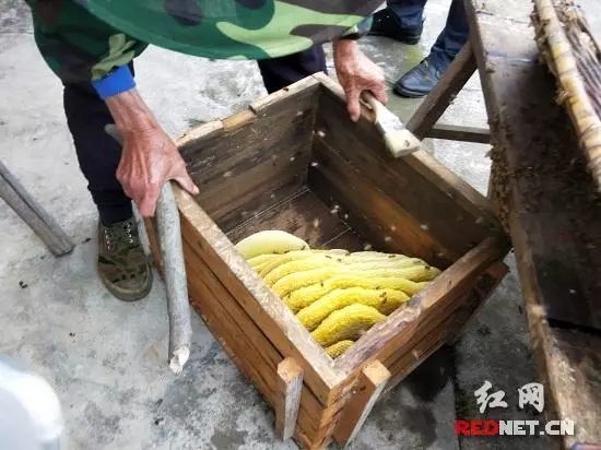 慈利县住房公积金个人贷款5月起免不动产登记