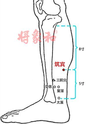 因此,筑宾穴的解毒作用经常被中医上用来解肾毒,对于由湿毒入侵到肾脏