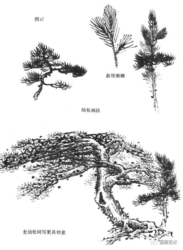 国画技法松树的画法详解