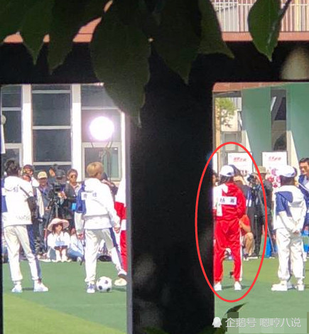 杨幂苏州录制《奔跑吧》和郑恺一组,新剧《扶