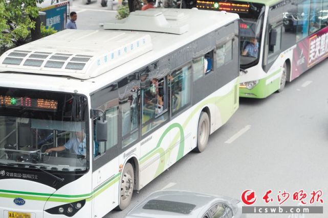 长沙多辆公交车司机不系安全带 司机:系不系都