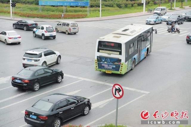 长沙多辆公交车司机不系安全带 司机:系不系都
