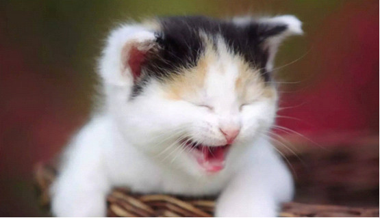 QQ图片20160615121120