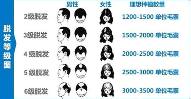 QQ图片20160615121216