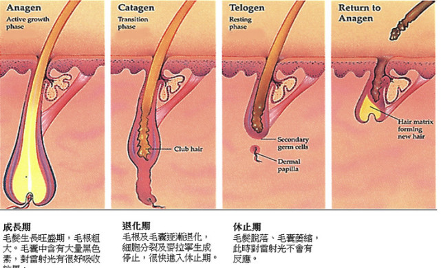QQ图片20160615121325