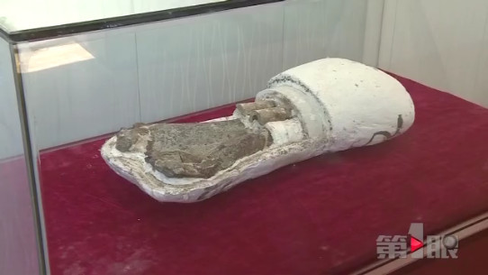 云阳恐龙化石群又有重大发现 长度延至15公里